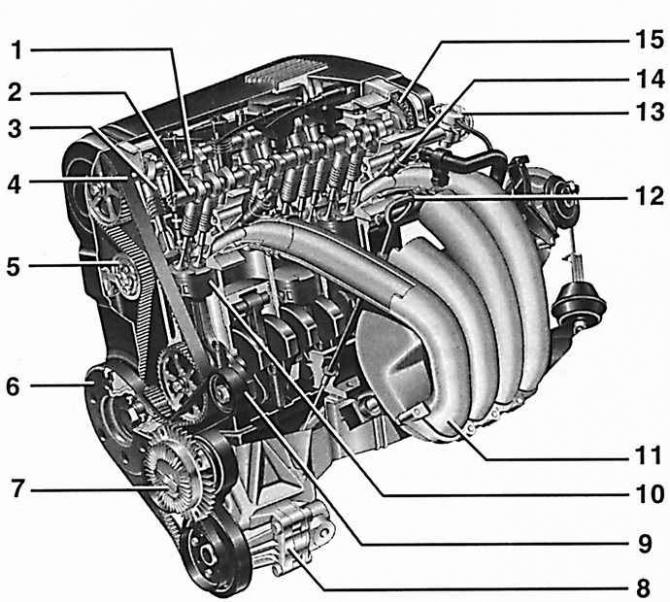 Устройство двигателей (Силовой агрегат / Ремонт двигателя / Volkswagen Passat 1996-2005) |
