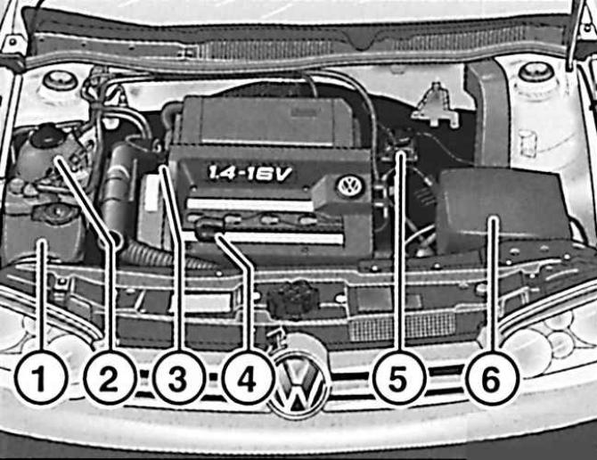 55 kW petrol engine