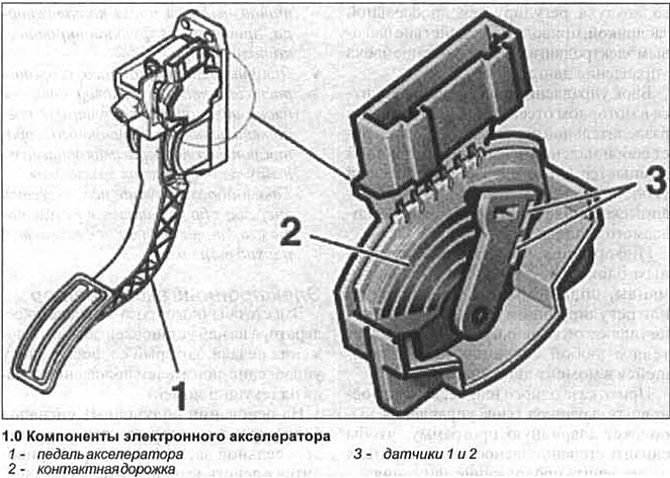 Корпусът на сензора на педала на газта съдържа два контактни потенциометъра, фиксирани на един вал…