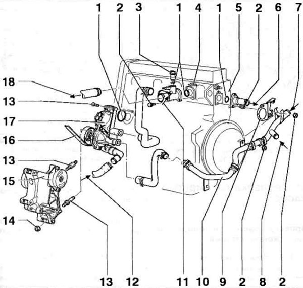 Рис. 5.36. Элементы системы охлаждения (двигатели 1F, ADZ):