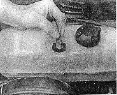 Photo 5.17. Disconnecting the coolant level sensor wiring.