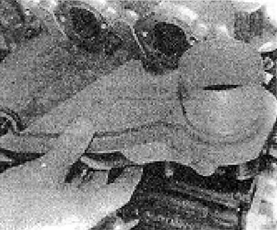 Photo 68.85V....upper collector shield...