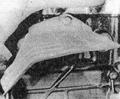 Photo 6B.85S....and rear heat shield.