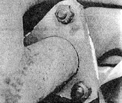Photo of 6B.86B....and its rear flange.