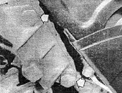 Foto 13A.11. Șuruburi ale suportului generatorului (rostogolite de săgeți).