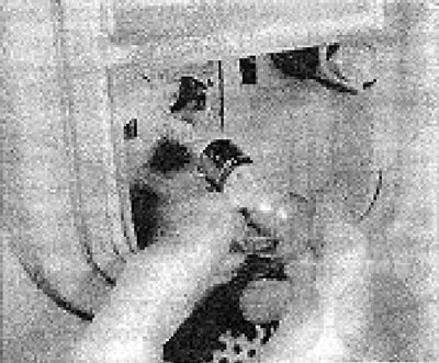 Foto 13L.24V....a výmena žiarovky.